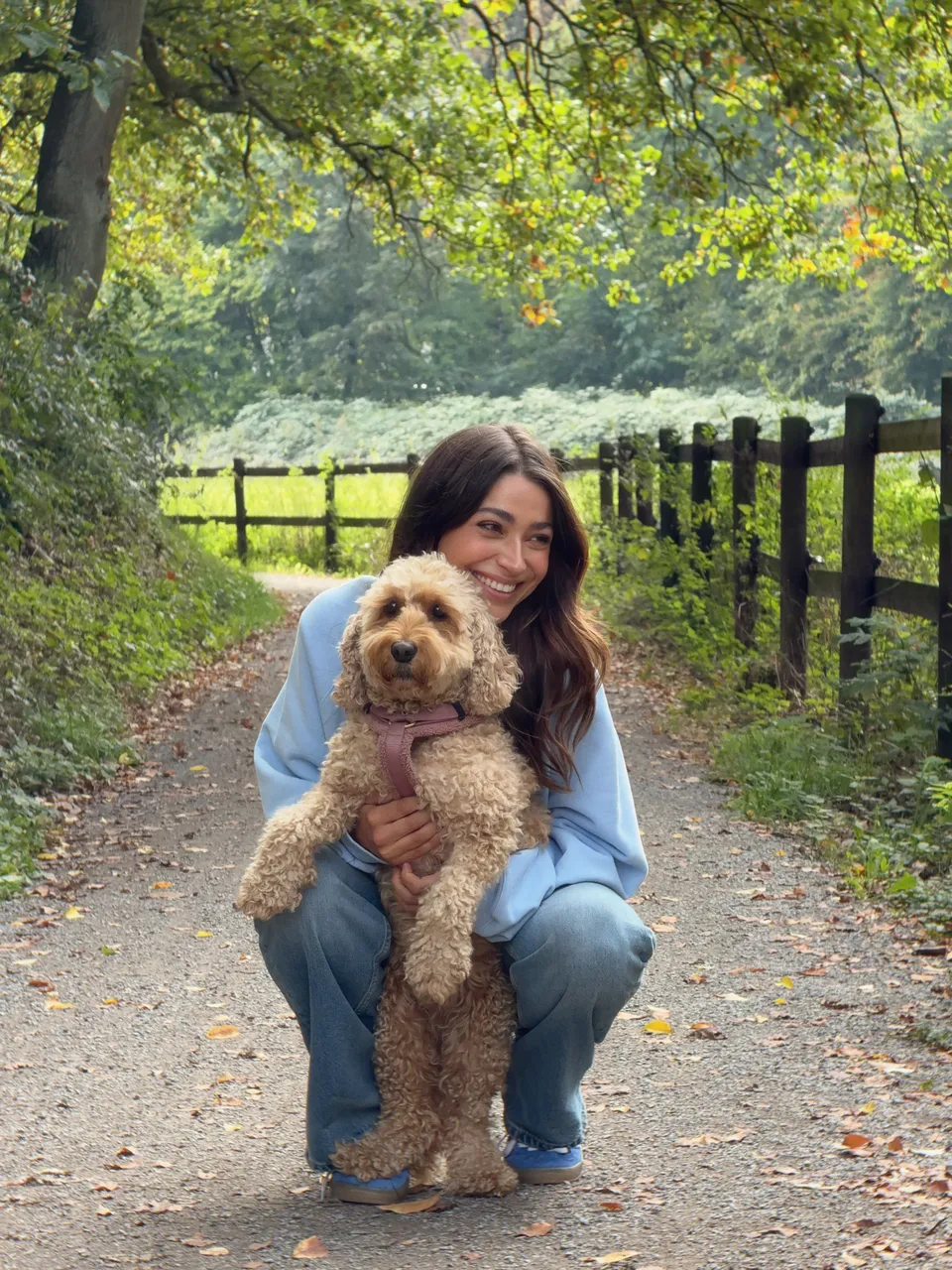 Mensch und Hund gemeinsam unterwegs