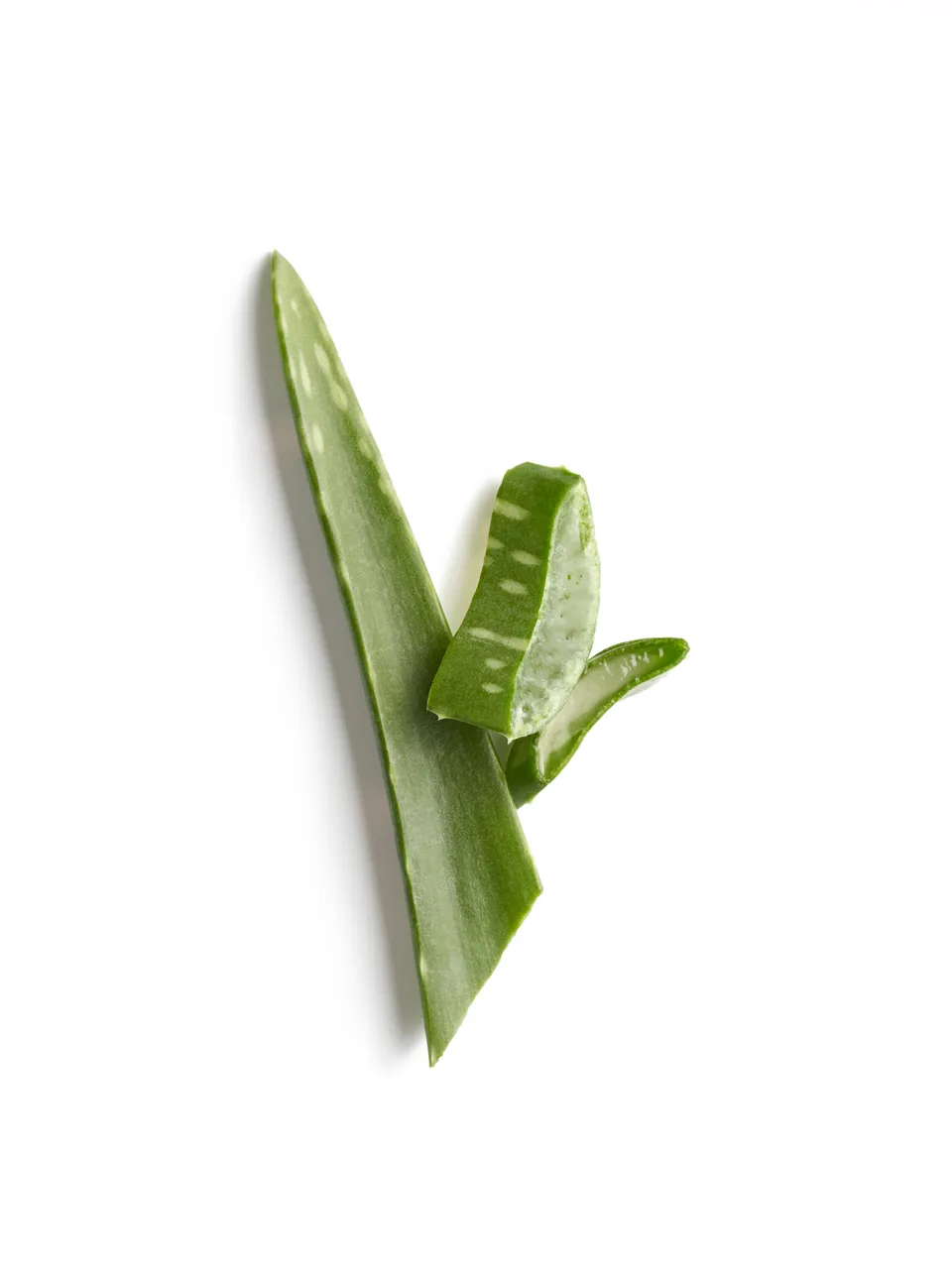 Aloe-Vera-Blatt mit zwei angeschnittenen Stücken