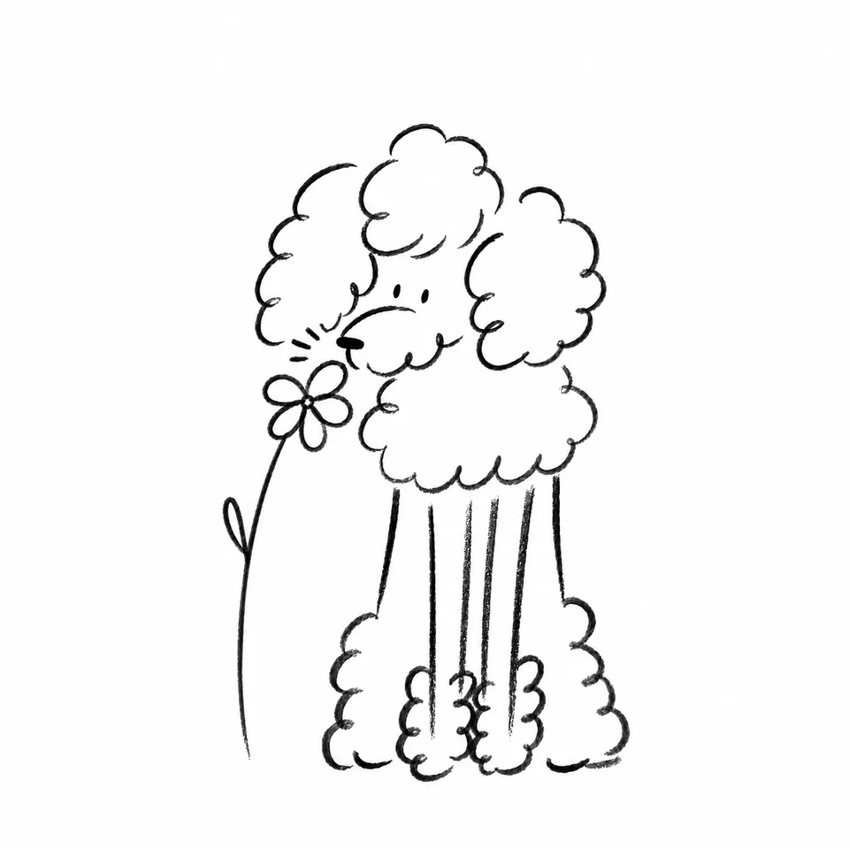 Illustration der sanften Fellpflege